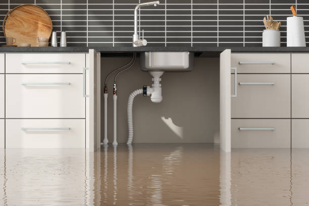 Trusted Winner, SD Water damage restoration Experts